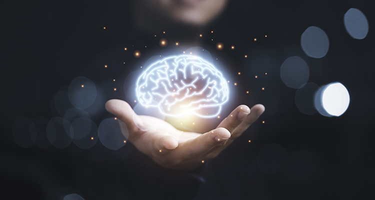 Do Certain Brain Chemicals Play a Role in Porn Addiction?